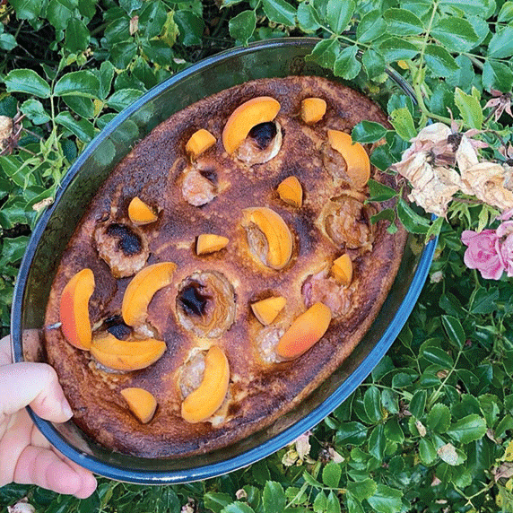 Clafoutis aux abricots et lait d'amande Amandina by Lacuisine.devalouuu